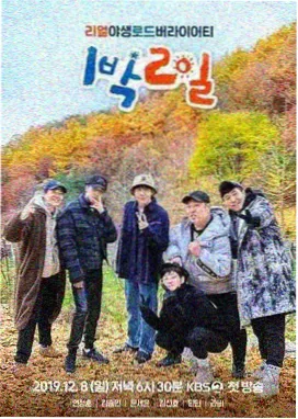花儿影视收藏清单下饭综艺封面